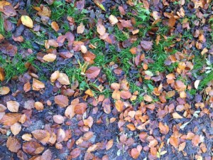 Mittleres Bild 640 x 480 Px