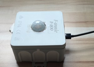 Aktivitäts-Modell, Foto Horst Sievert