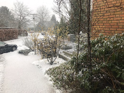 6517582F-F498-415D-9AB5-6EDFD73C008F