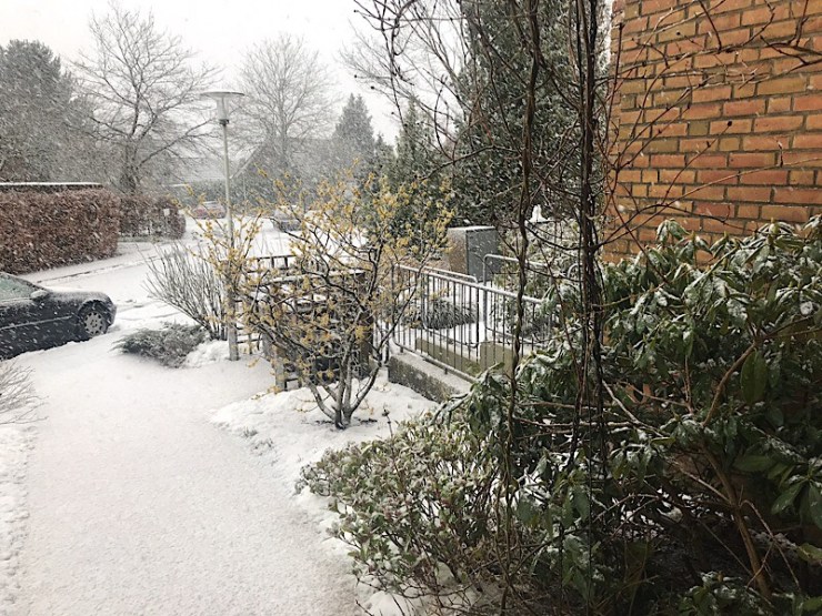 6517582F-F498-415D-9AB5-6EDFD73C008F